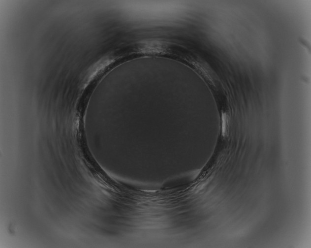 X0000093580723200710151144