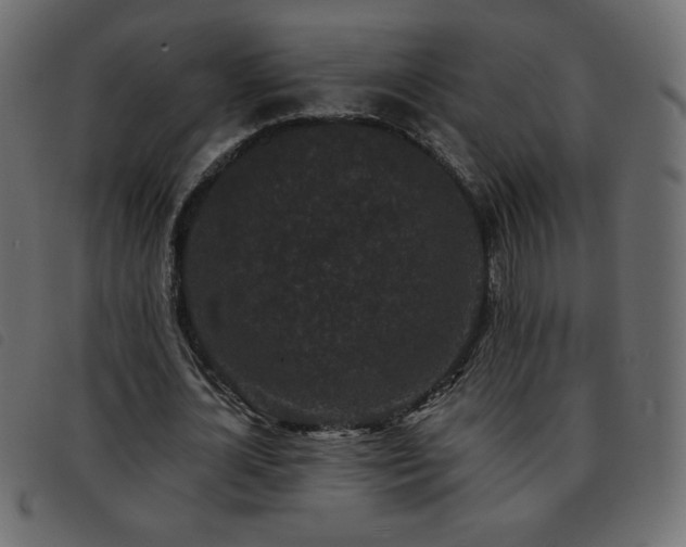 X0000093580724200710151144