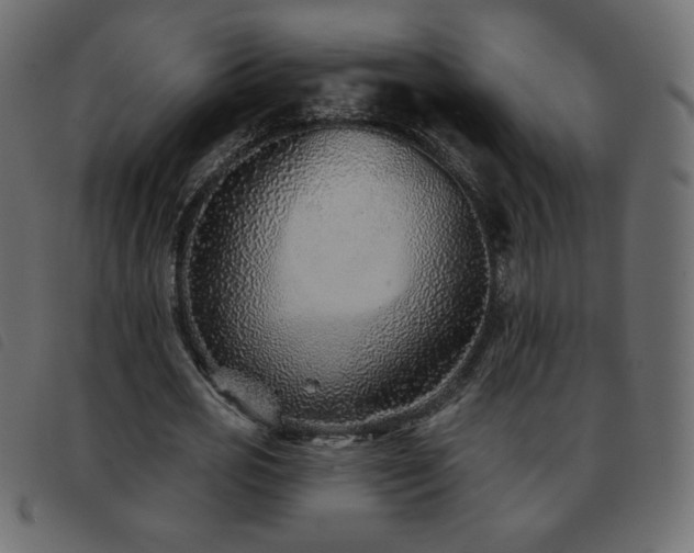 X0000093580725200710151144
