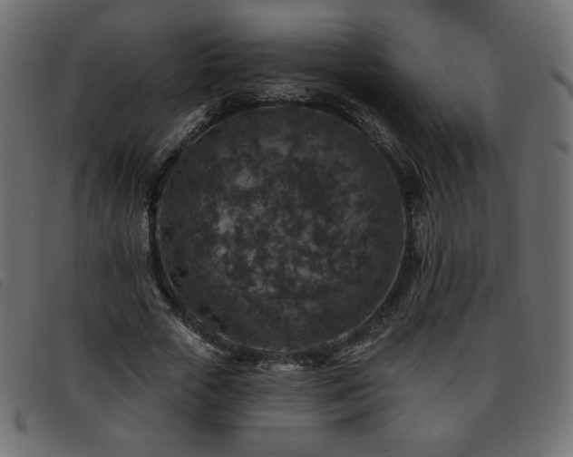 X0000093580729200710151144