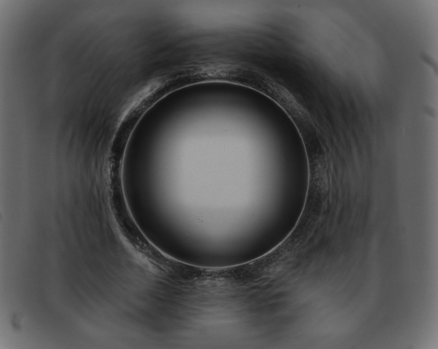 X0000093580730200710151144