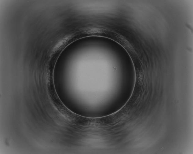 X0000093580732200710151144