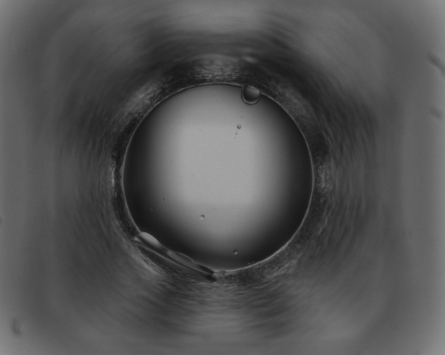 X0000093580733200710151144