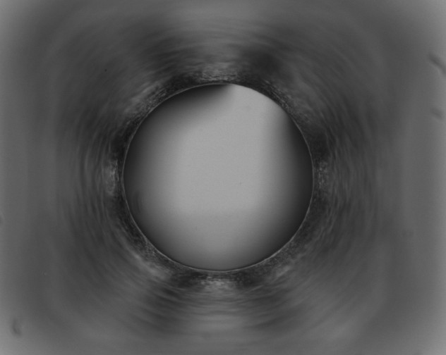 X0000093580741200710151145