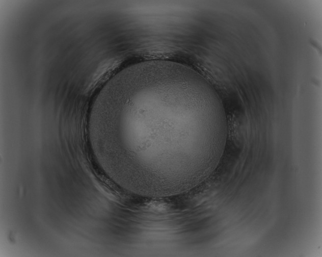 X0000093580742200710151145
