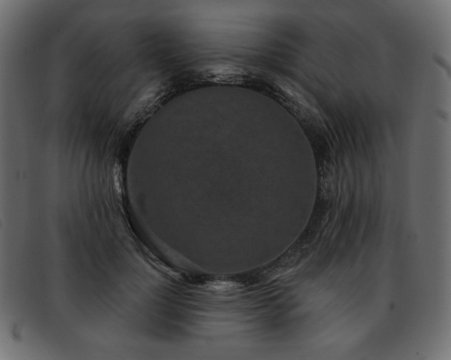 X0000093580748200710151145