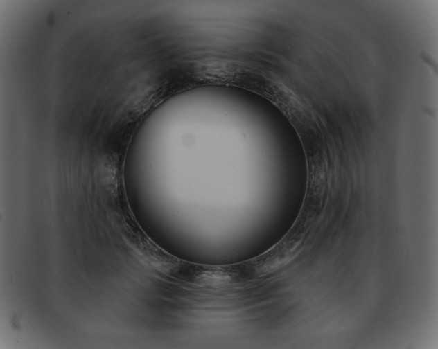 X0000093580749200710151145