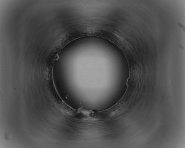 X0000093580750200710151145