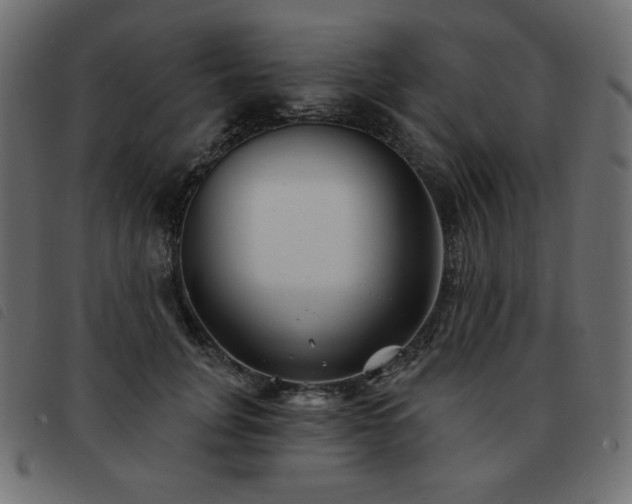 X0000093580751200710151145