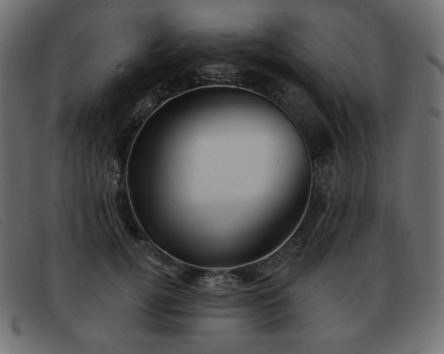X0000093580752200710151145