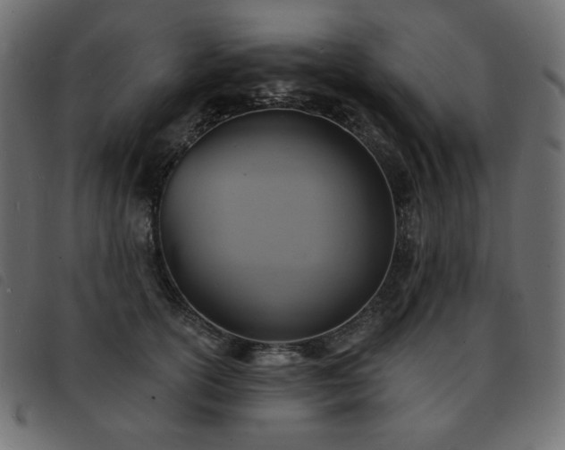 X0000093580754200710151145