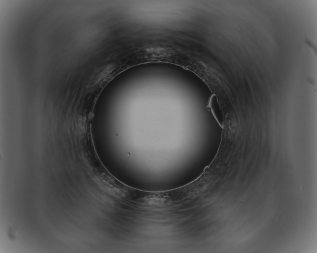 X0000093580756200710151145