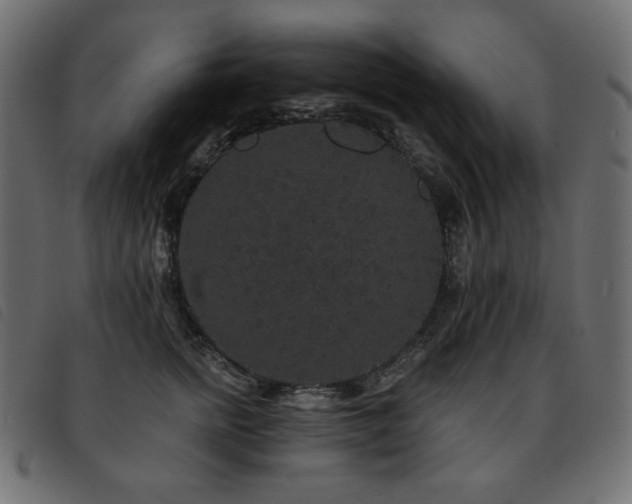 X0000093580758200710151145