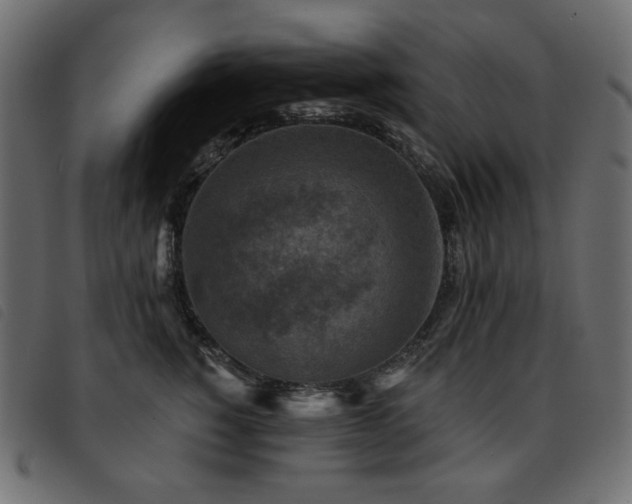X0000093580760200710151145