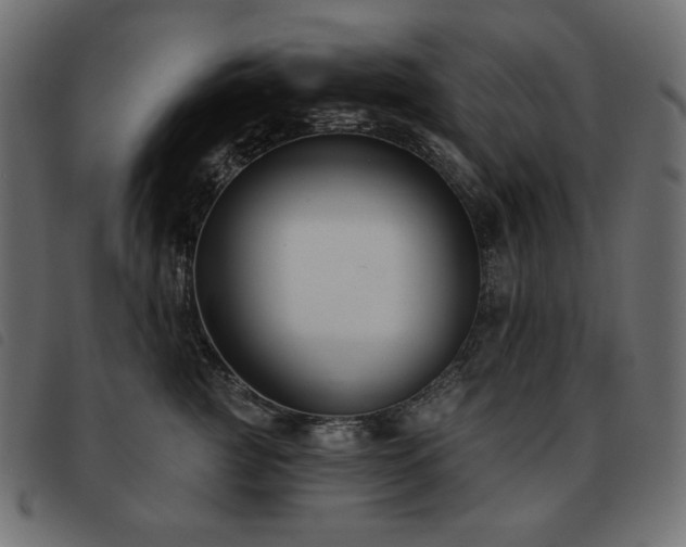 X0000093580761200710151145