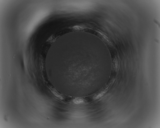 X0000093580762200710151145