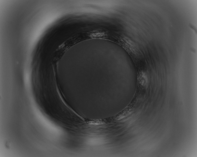 X0000093580763200710151145