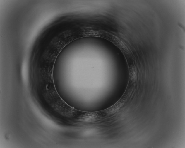 X0000093580764200710151145