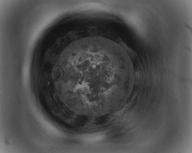 X0000093580765200710151145