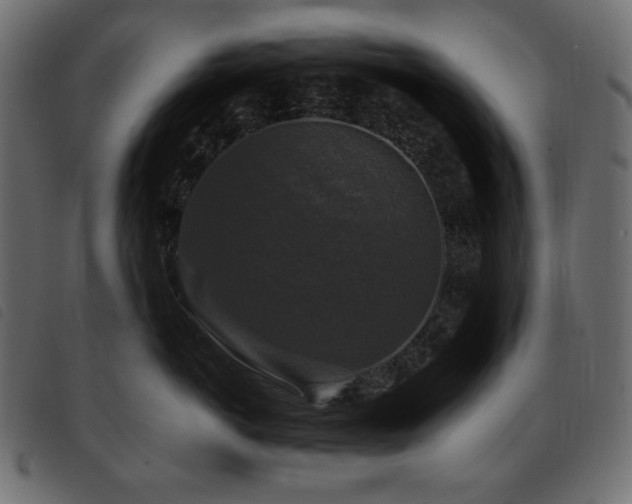 X0000093580766200710151145