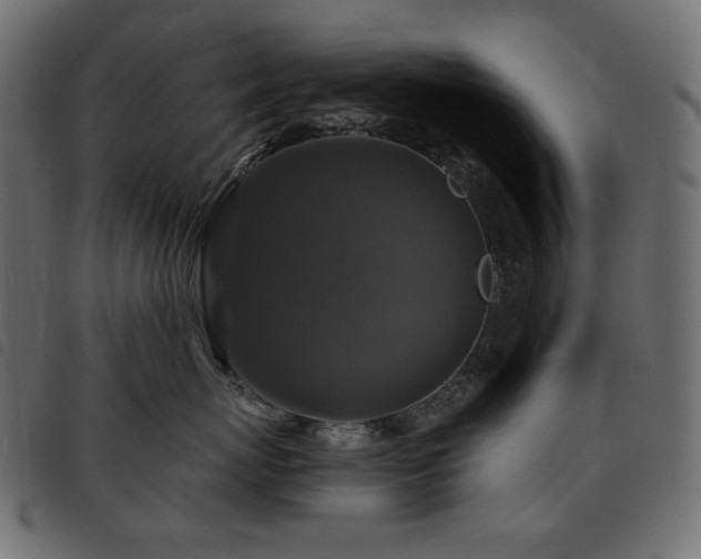 X0000093580767200710151145