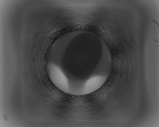 X0000093580769200710151144