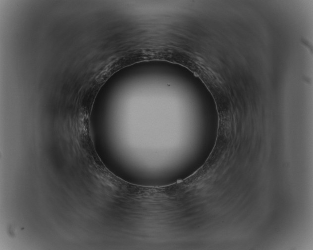 X0000093580770200710151144