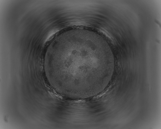 X0000093580775200710151144