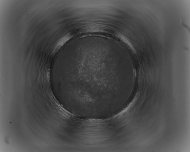 X0000093580777200710151144