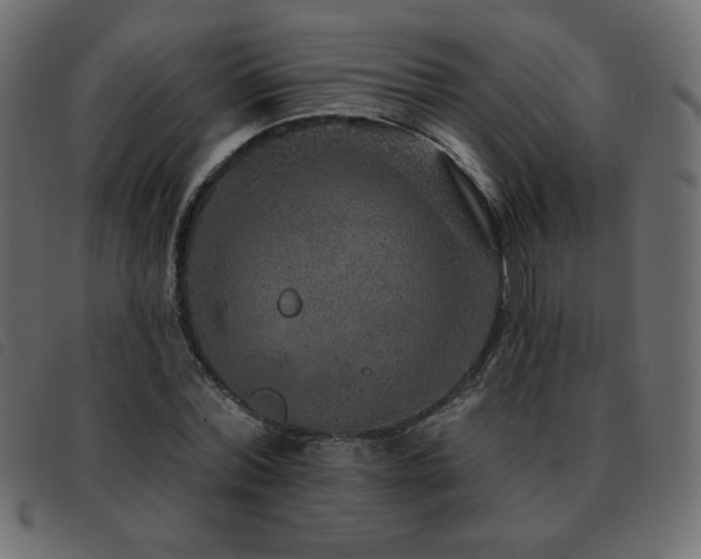 X0000093580780200710151144