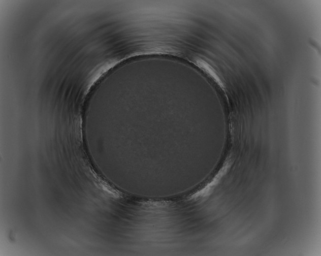 X0000093580781200710151144