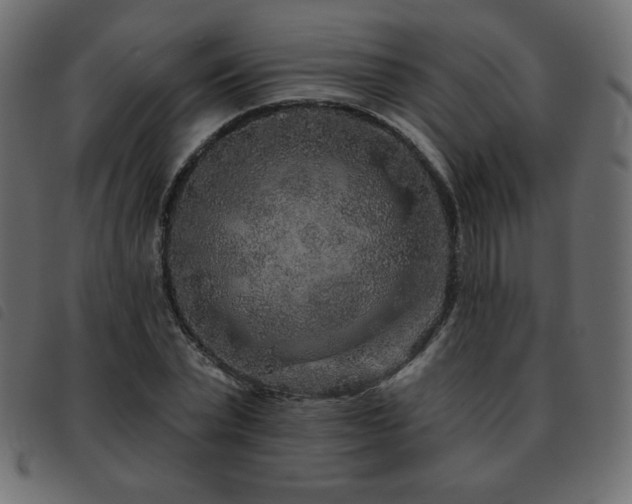 X0000093580783200710151144