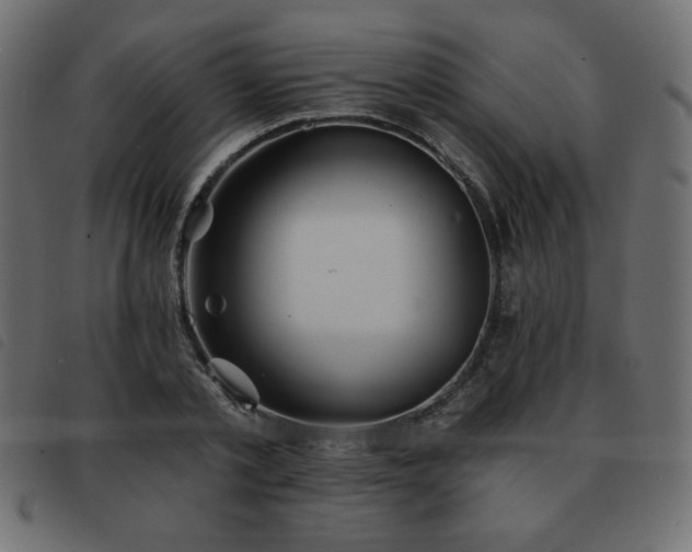 X0000093580789200710151144