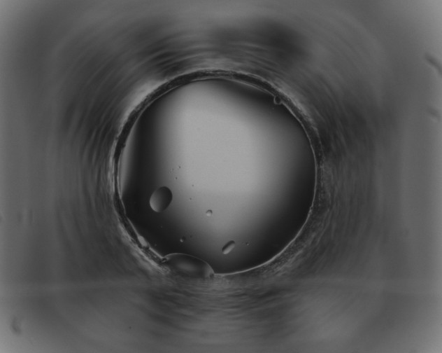 X0000093580791200710151144