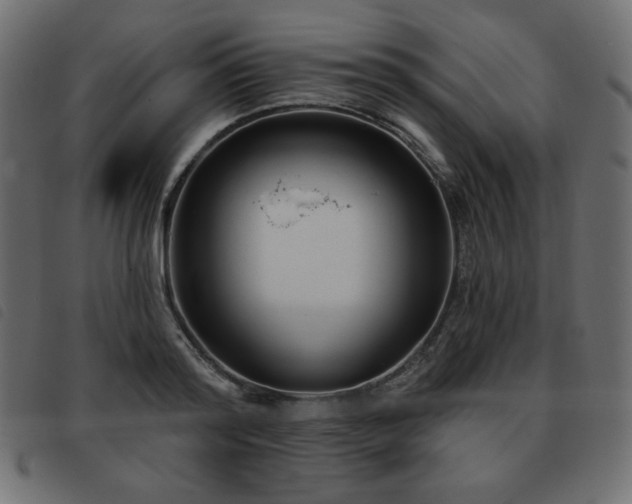 X0000093580796200710151144