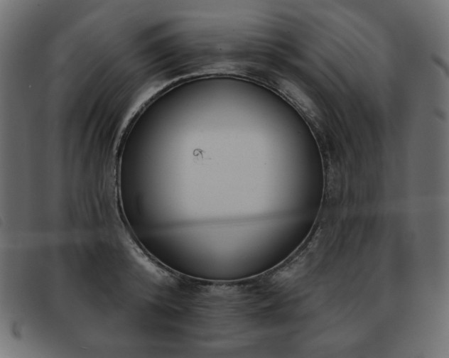 X0000093580800200710151144