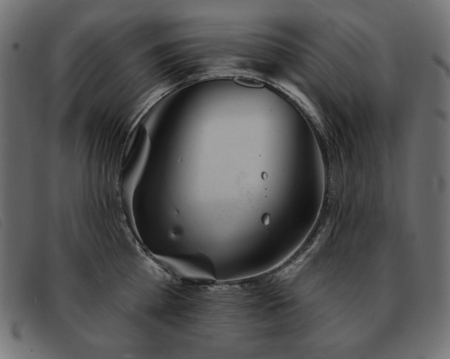 X0000093580809200710151144