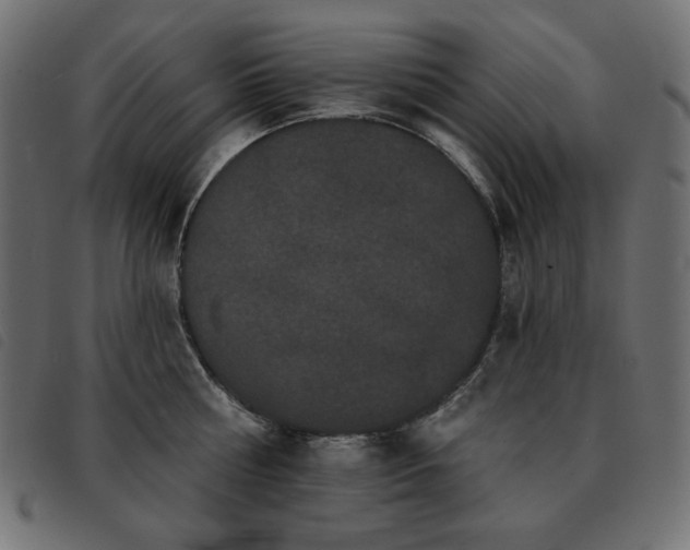 X0000093580810200710151144