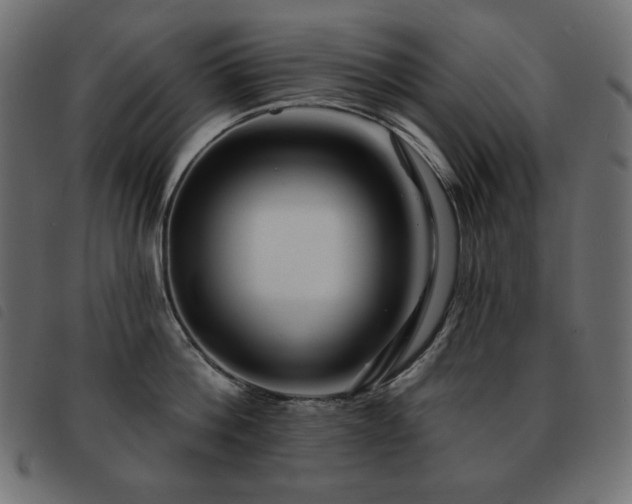 X0000093580812200710151144