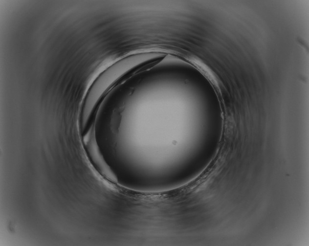 X0000093580813200710151144