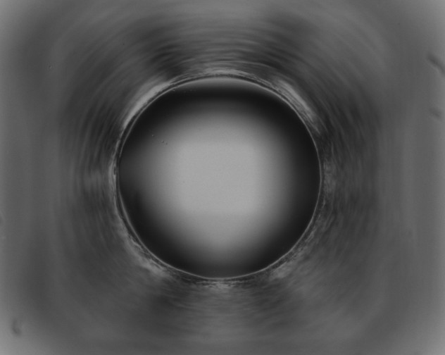 X0000093580814200710151144