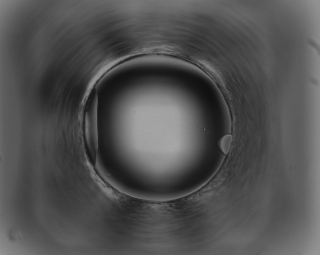 X0000093580816200710151144