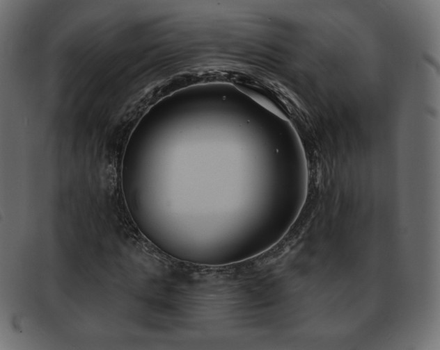 X0000093580821200710151143