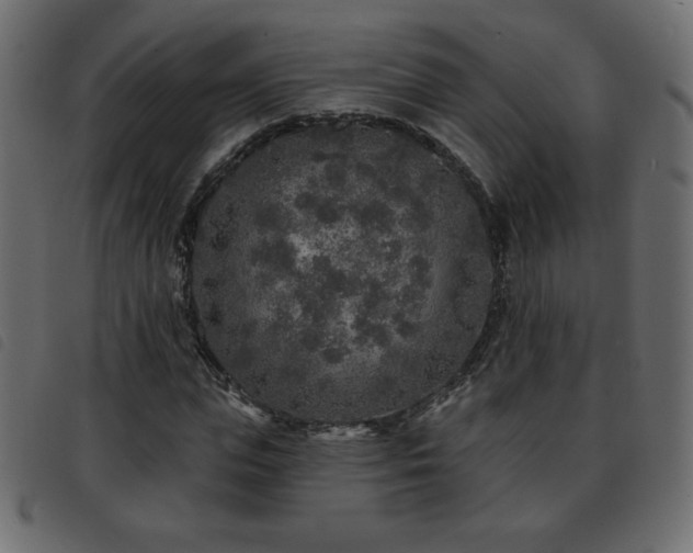 X0000093580823200710151143