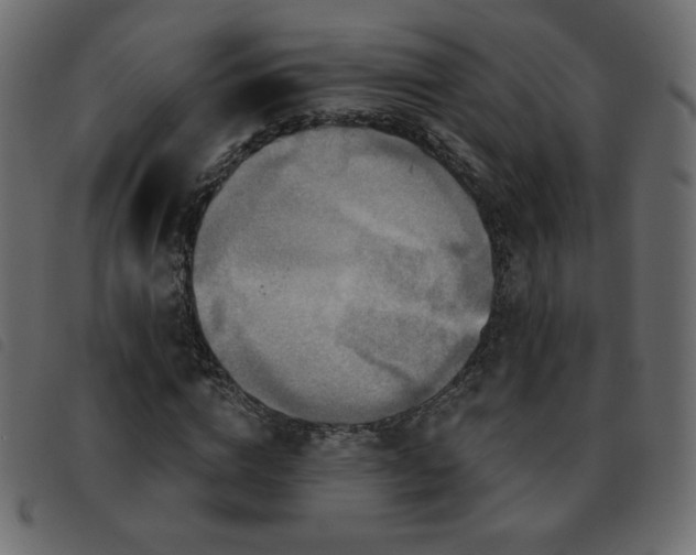X0000093580824200710151143