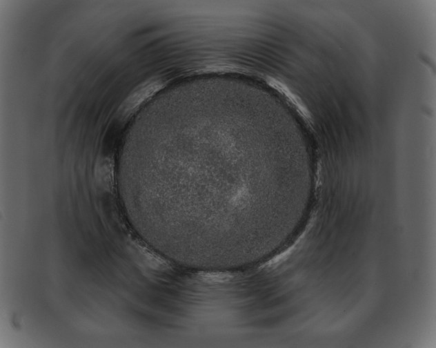 X0000093580825200710151143