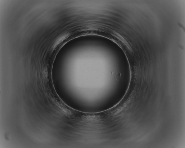 X0000093580826200710151143