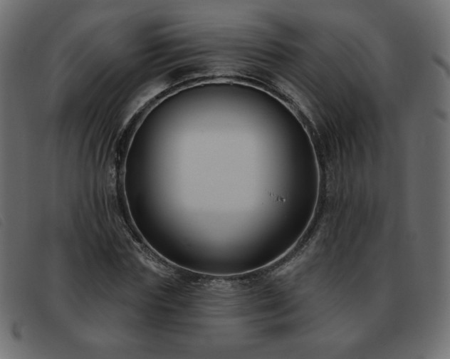 X0000093580827200710151143