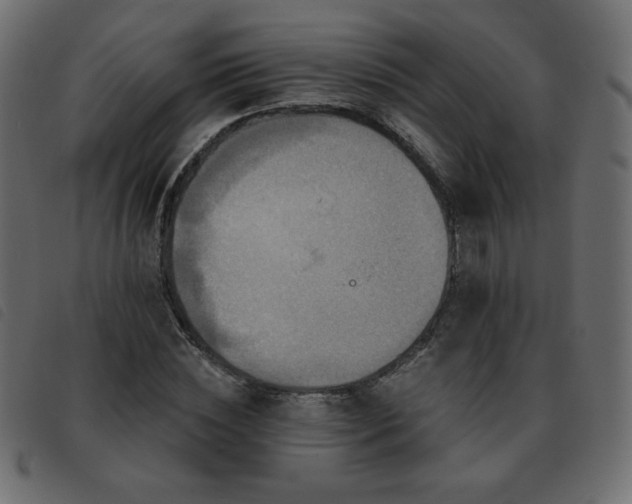 X0000093580828200710151143