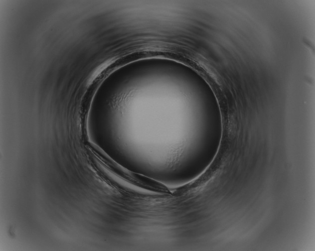X0000093580829200710151143